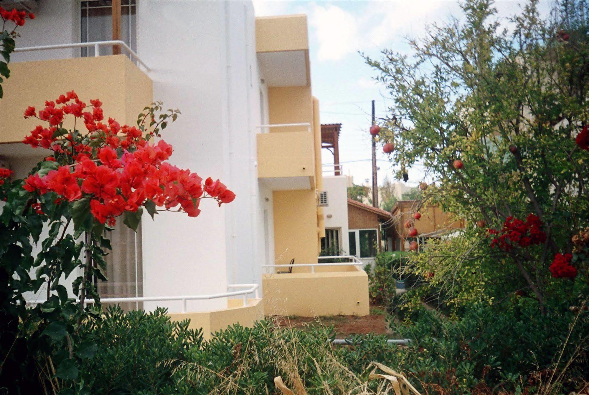 Dimitra Apartments غوفي المظهر الخارجي الصورة