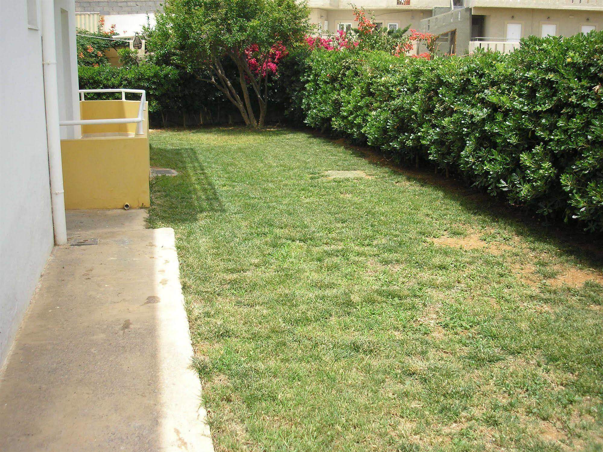 Dimitra Apartments غوفي المظهر الخارجي الصورة